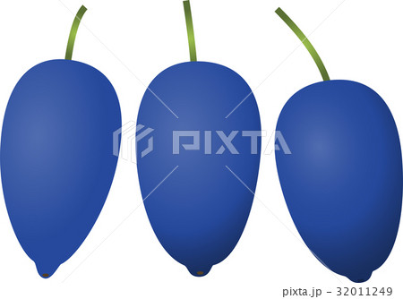 ハスカップ 32011249