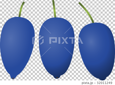 ハスカップ 32011249