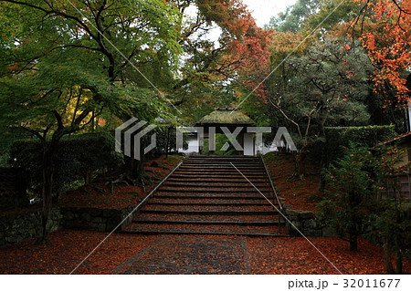 安楽寺の紅葉 32011677