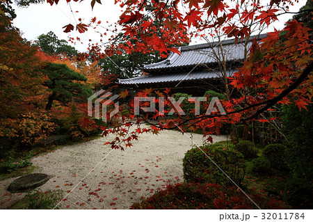 天授庵の紅葉 天授庵の紅葉 32011784