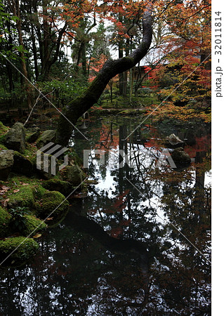 天授庵の紅葉 32011814