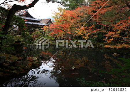 天授庵の紅葉 天授庵の紅葉 32011822