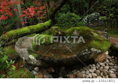 天授庵の紅葉 32011851