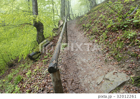 A mountain path in the forest with old handrails. A mountain path in the forest with old handrails. 32012261