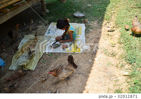 ラオス北部の村　ノンキャウ　庭でままごとをする女の子と周りを歩く鶏 32012871