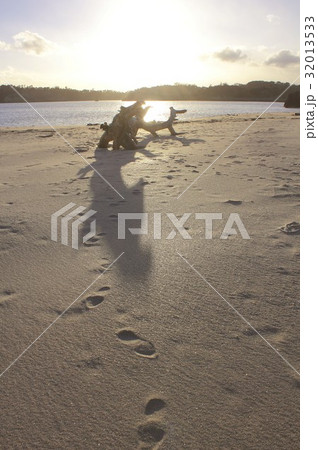 夕暮れの松島、宮城県東松島市宮戸島の大浜海岸の砂浜と打ち上げられた流木 32013533