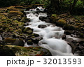 清流19 32013593