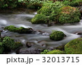 清流29 32013715