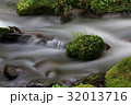 清流30 32013716