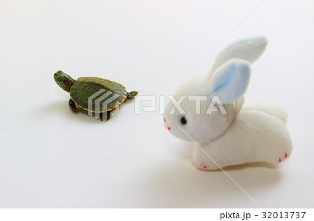 うさぎと亀 32013737