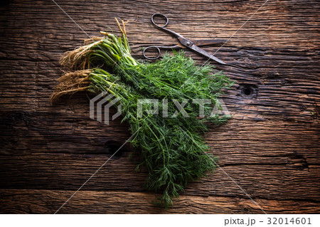 Dill.Bunch of dill on very old rustic oak table 32014601