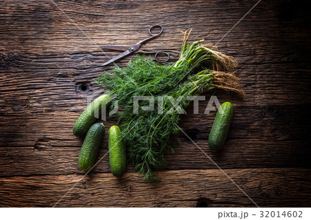 Cucumber and dill on very old rustic oak table. 32014602
