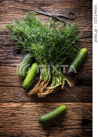 Cucumber and dill on very old rustic oak table. 32014603