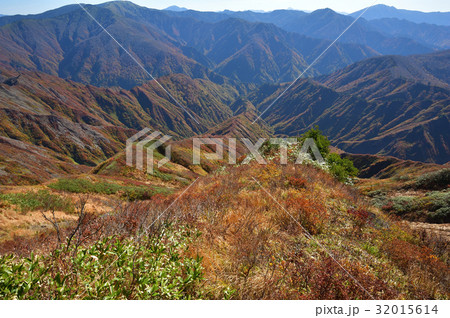 秋の越後沢と奥利根の山々 秋の越後沢と奥利根の山々 32015614