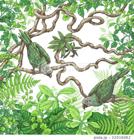 Green Parrots Sitting  on Branches 32016062