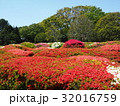 庭園 32016759