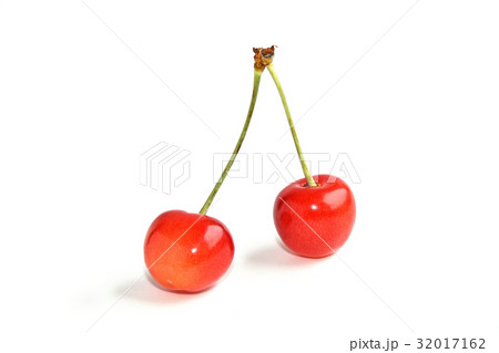 サクランボ   32017162