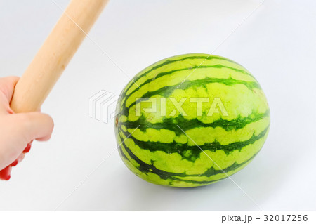 すいか スイカ 割り 夏  32017256