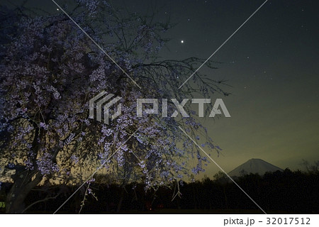 夜桜と富士山と星空・西湖野鳥の森公園（山梨県） 32017512
