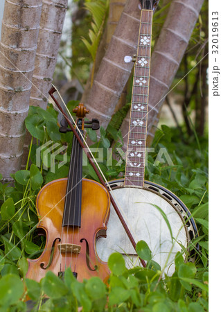 Violin with banjo, bluesgrass musical instrument P 32019613