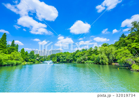 東京 井の頭公園の風景の写真素材 [32019734] - PIXTA