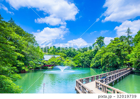 東京 井の頭公園の風景 東京 井の頭公園の風景 32019739