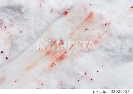 red blood on the snow 32020357