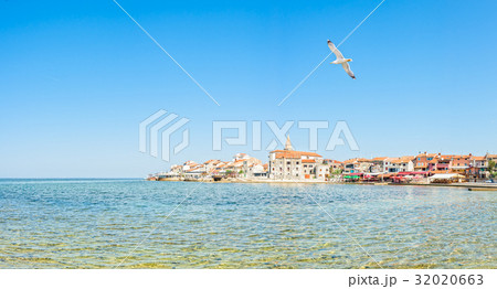 Adriatic coast in Umag Croatia 32020663