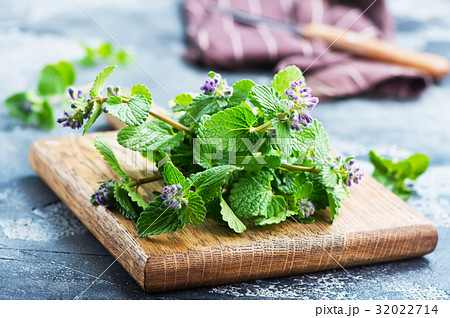aroma herb aroma herb 32022714