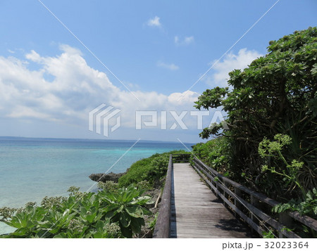 海が見えるウッドデッキの遊歩道 32023364