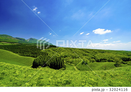 産山村 ヒゴタイ公園 産山村 ヒゴタイ公園 32024116