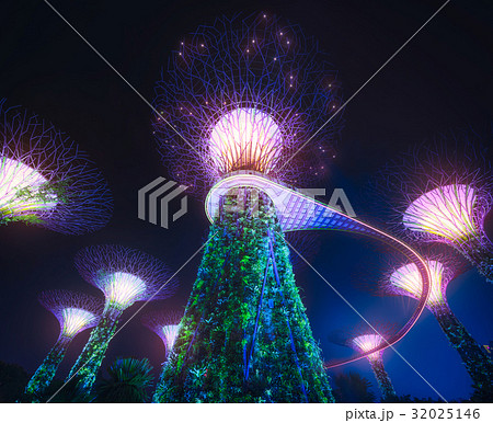 The Supertree in Singapore The Supertree in Singapore 32025146