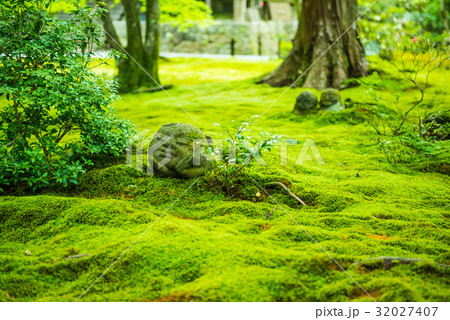 梅雨時の三千院 わらべ地蔵 梅雨時の三千院 わらべ地蔵 32027407