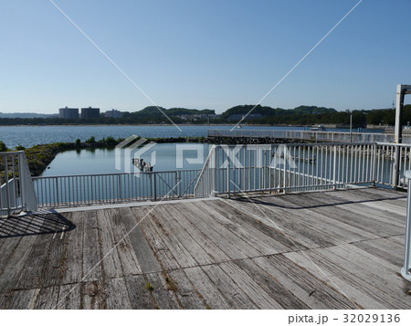 横浜八景島 32029136