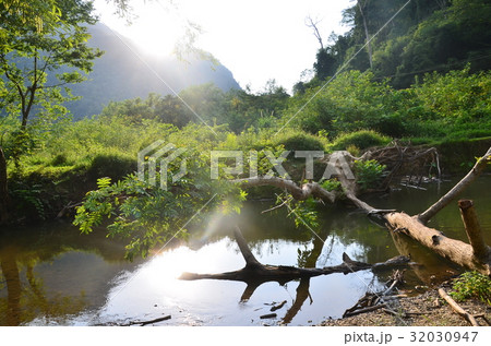 ラオス北部　ノンキャウ近郊の村　夕日で輝く倒木と小川　 32030947