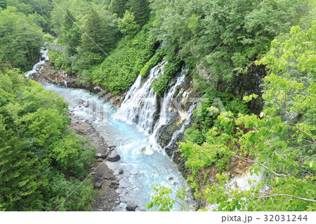 白ひげの滝(北海道・美瑛) 白ひげの滝(北海道・美瑛) 32031244