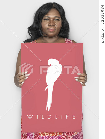 Animal Wildlife Word with Parrot Graphic Animal Wildlife Word with Parrot Graphic 32035084