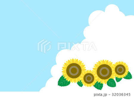 ヒマワリと夏の青空 ヒマワリと夏の青空 32036345
