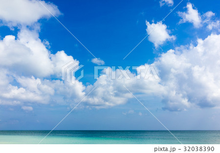空 32038390