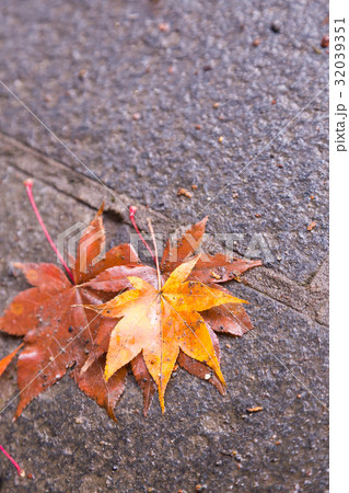 Autumn leaves in japan 32039351