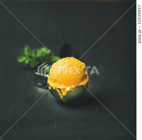 Mango sorbet ice cream scoop in scooper, square crop stock photo (147282) -  YouWorkForThem