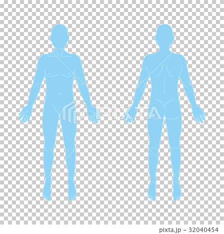 人体 32040454