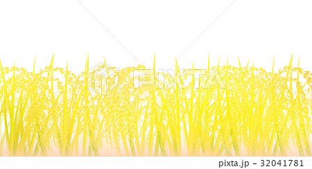 綺麗な稲作 イラスト フリー 最高の動物画像