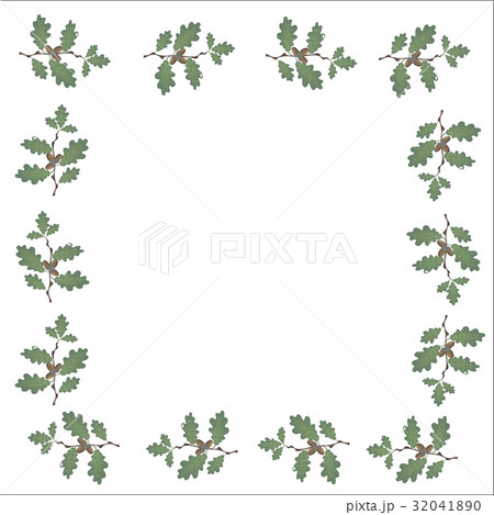 Green branches of oak with acorns in the form of a 32041890