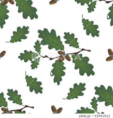 Green branches of oak with acorns and leaves 32041912