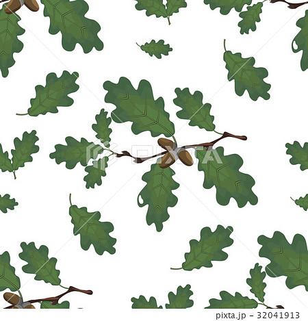 Green branches of oak with acorns and leaves 32041913