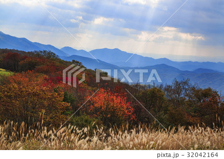 広島県 吾妻山の紅葉の写真素材