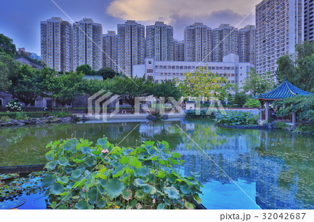 the lotus at Fanling Hong Lok Park hk the lotus at Fanling Hong Lok Park hk 32042687