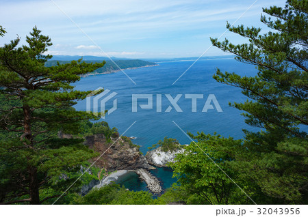 黒崎 黒崎 32043956