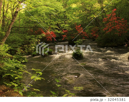 三乱の流れ／奥入瀬・青森県 32045381